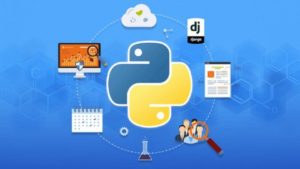 Read more about the article Complete Python Bootcamp : Go Beginner to Expert in Python 3