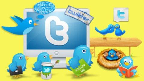 Read more about the article Become Twitter Marketing Expert – Social Media Marketing