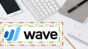 Read more about the article Wave Accounting 2020