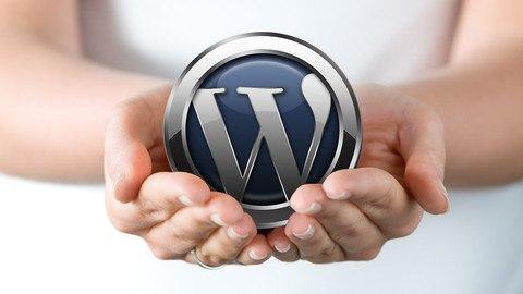 Read more about the article WordPress: Make A Professional Website With No Coding