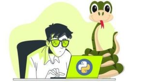 Read more about the article Complete Python Bootcamp : Go Beginner to Expert in Python 3