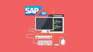 Read more about the article SAP ERP: Become an SAP S4 HANA Certified Consultant – Pro