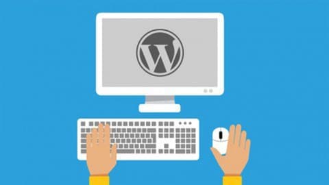 WordPress For Beginners